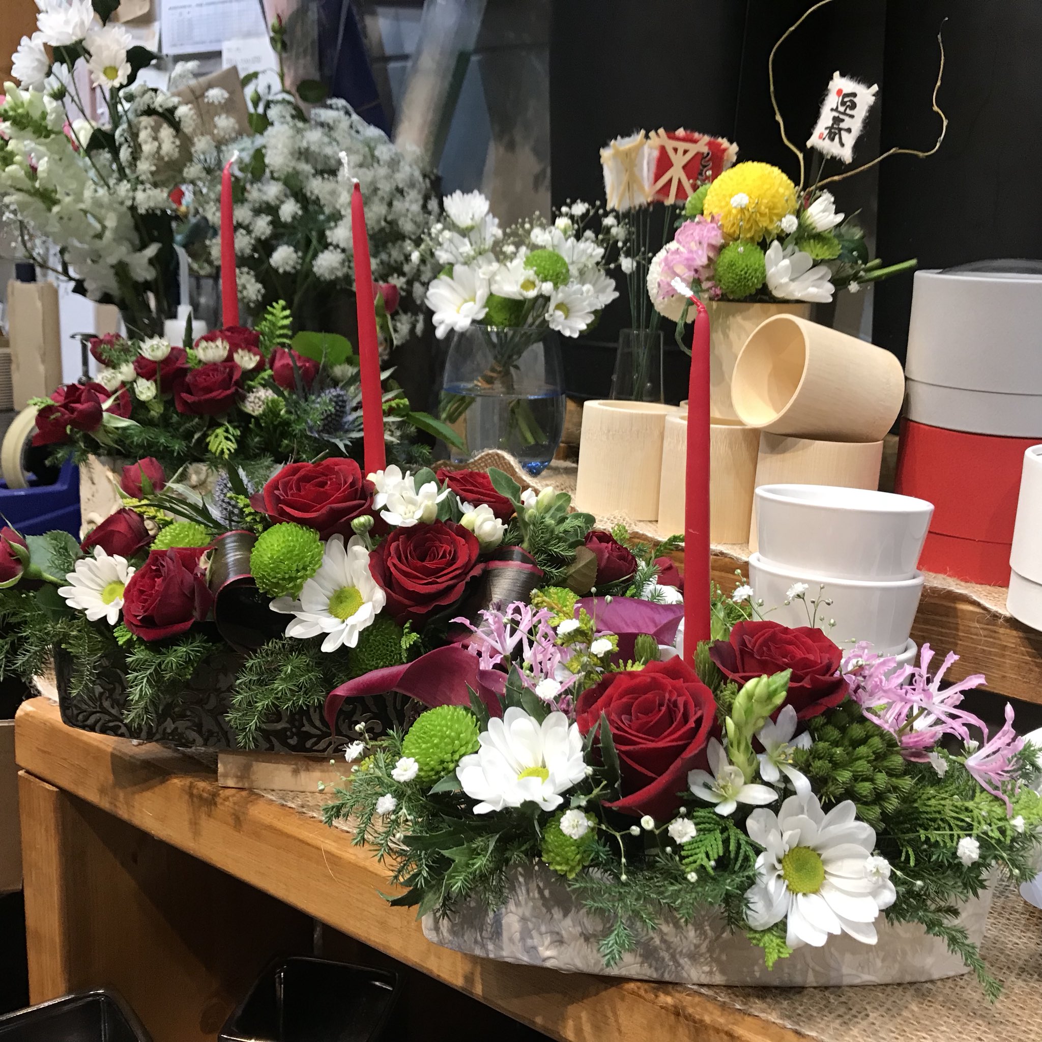 花笑み Hanaemi Hoya Twitter