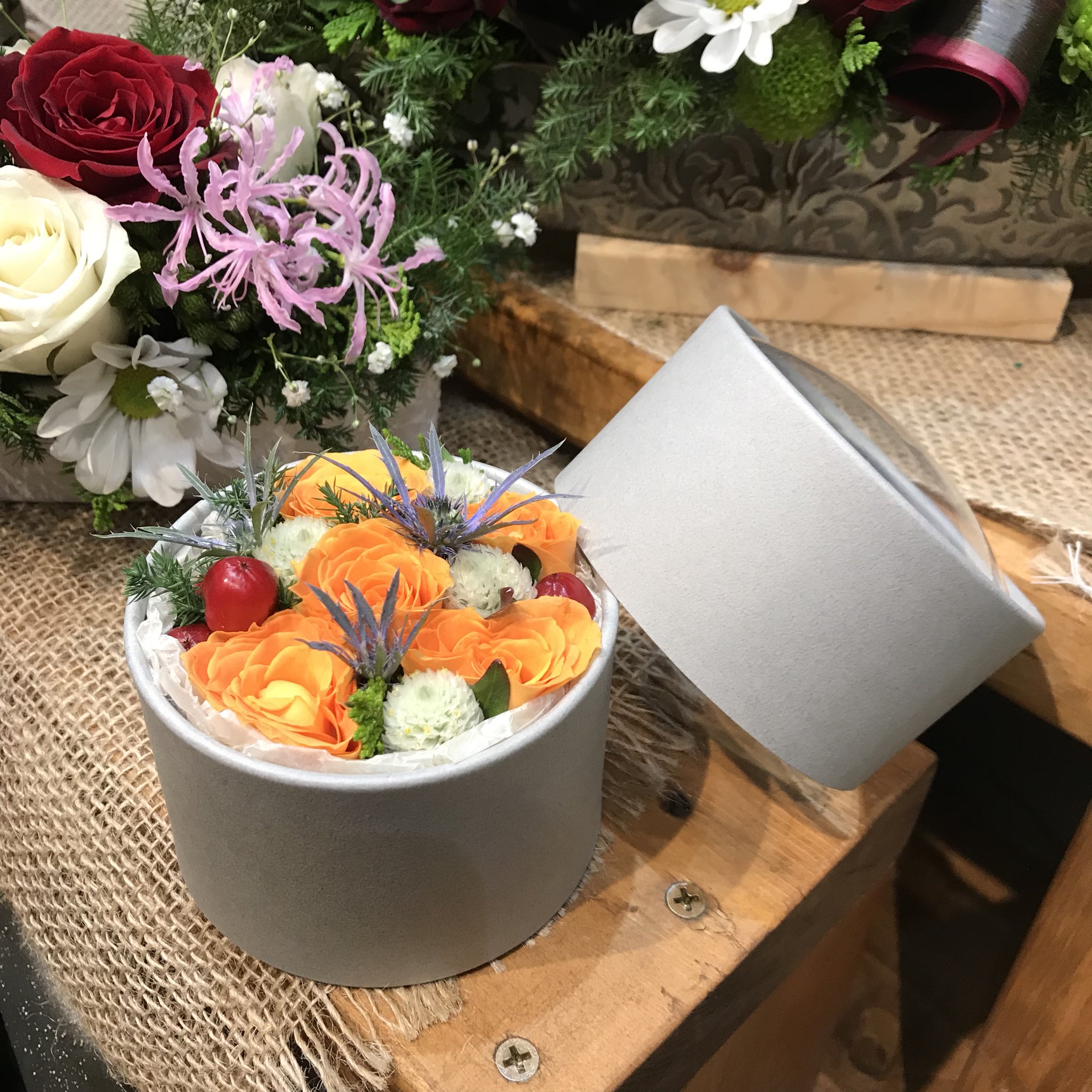 花笑み Hanaemi Hoya Twitter