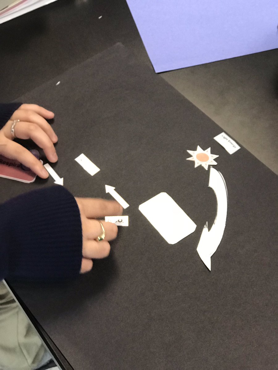 harmonySTEM's tweet photo. Hands on learning in my #biology class!
#cellular #respiration and #photosynthesis #cycle #puzzle activity was engaging, informative, and fun.
@HSI_Sugarland 
#STEM #STEAMEducation #STEMSOS
#PBL https://t.co/NsaKUW0PbX