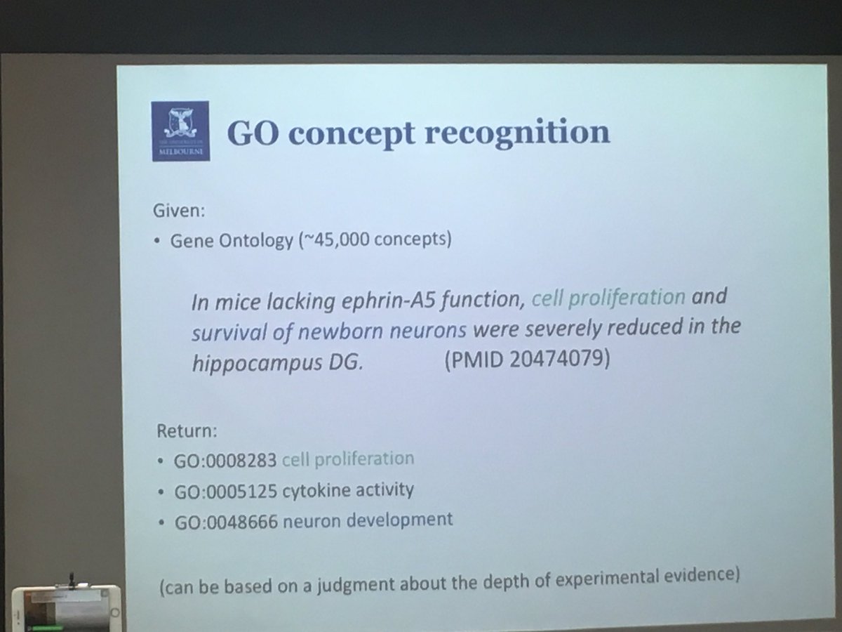 frrncl's tweet photo. .@karinv biologists look for not for entities but also for concept and not all the concepts are named entities #fire2018 @fire_forum https://t.co/tcnyRcf8wn