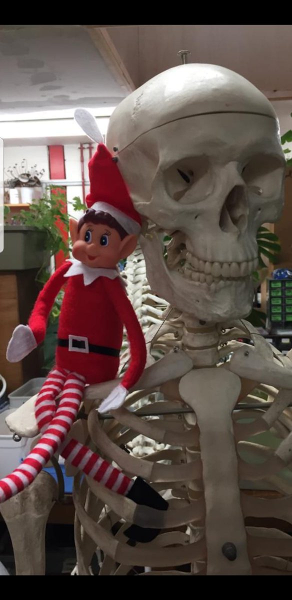 Making new friends...
#teamernulf #naughtyelf