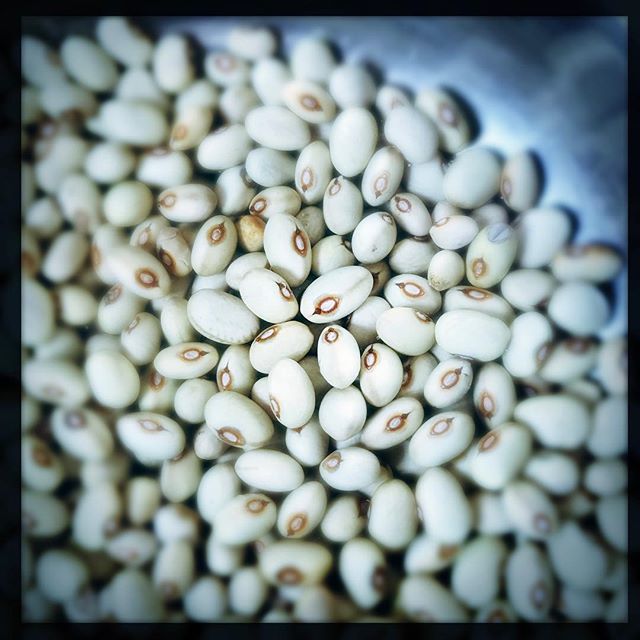 SophieBrissaud's tweet photo. #haricots fagioli verdolini au trempage #testculinaire @culinaries.fr @culinaries.lyon #AziendaAgricolaMarcoCamilli #viterbo #lazio https://t.co/z85dZXVWed https://t.co/p5RL5YDJDb