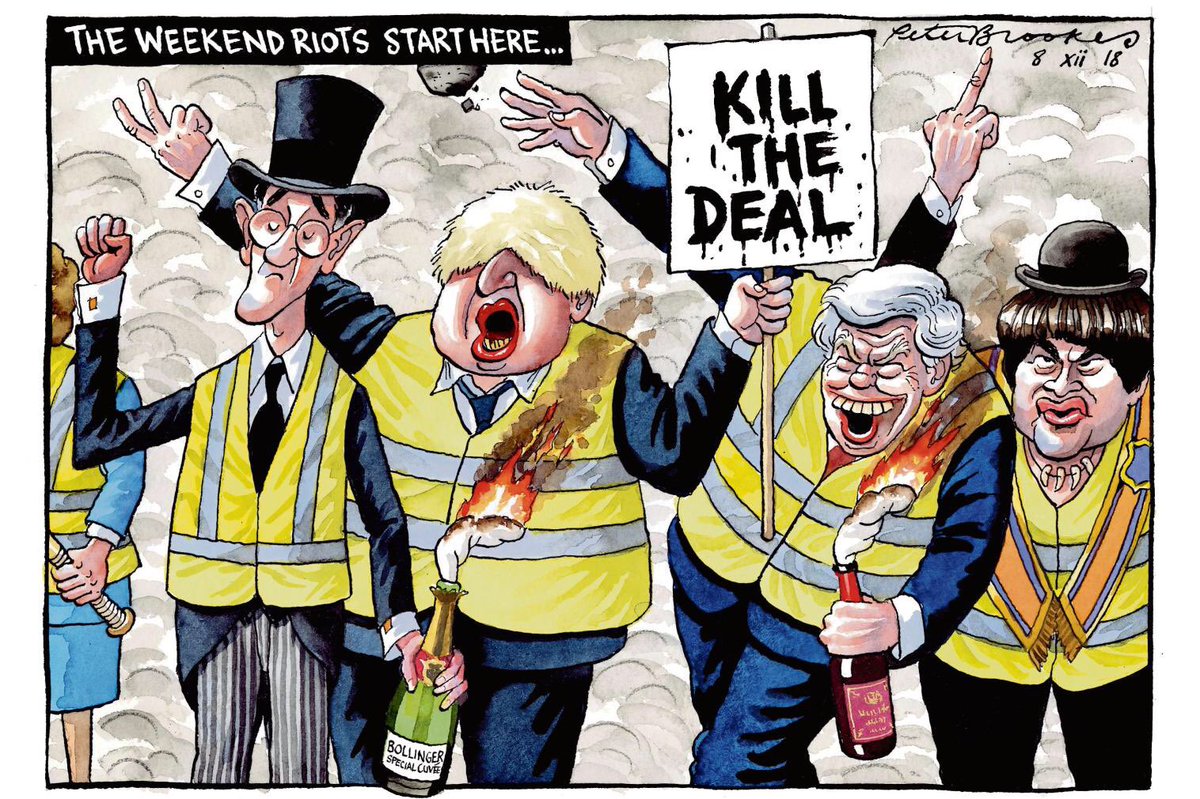 BrookesTimes's tweet photo. My cartoon Saturday @TheTimes. I predict a riot.....#GiletsJaunes #BrexitDeal #TuesdayVote https://t.co/vypHUYTyQ9