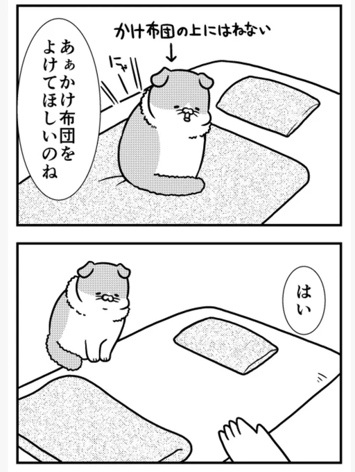 猫のきにゃと、ごとうさん(194) うちの姫  #マイナビニュース 