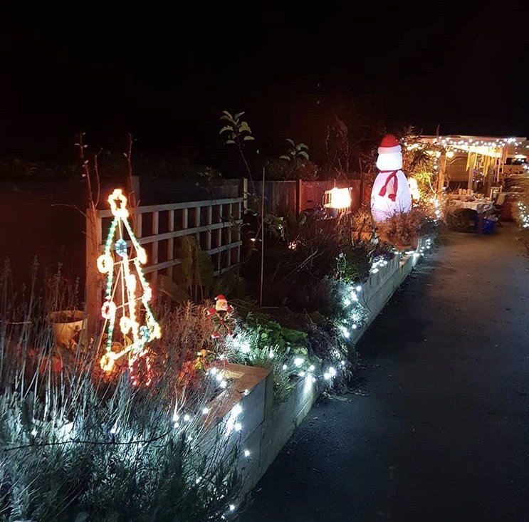 GoTeamRatcliffe's tweet photo. Have I over done the lights this year???
#wheresBillyWhenYouNeedHim #DIYSOSBilly #DIYSOS
#MoreIsAlwaysMore #NeverToMany #YouCantHaveEnoughLights #
#GoTeamRatcliffe
https://t.co/D9qoaF7M8p https://t.co/42v5sPYhzU
