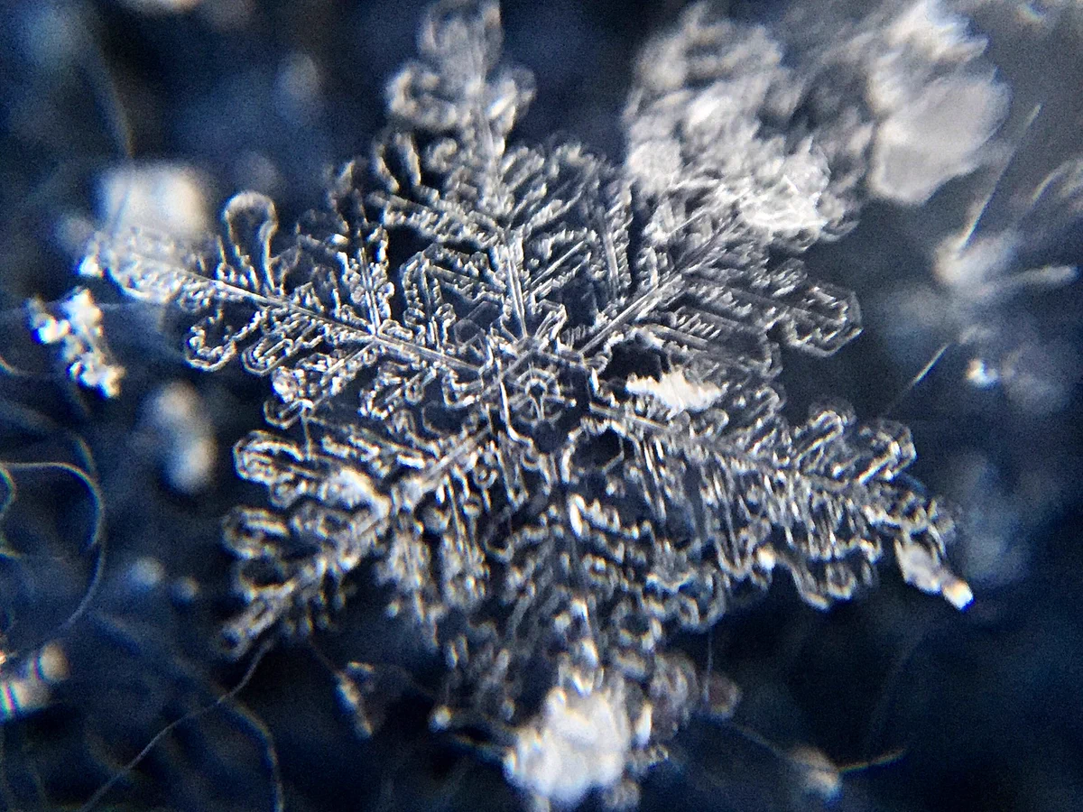 雪の結晶の撮り方！！100均に売ってるアレを使うだけで気軽に&綺麗に！！