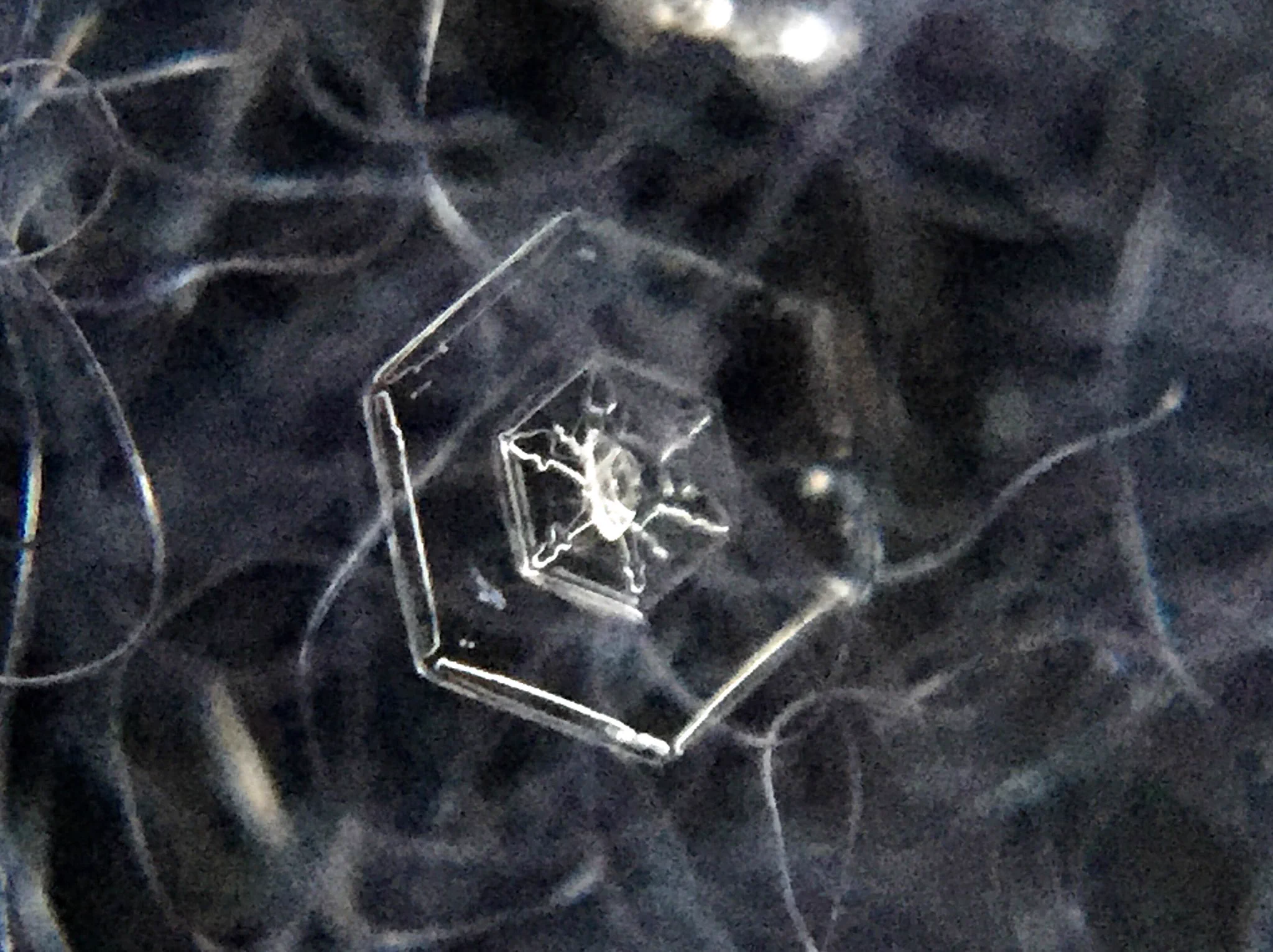 雪の結晶の撮り方！！100均に売ってるアレを使うだけで気軽に&綺麗に！！