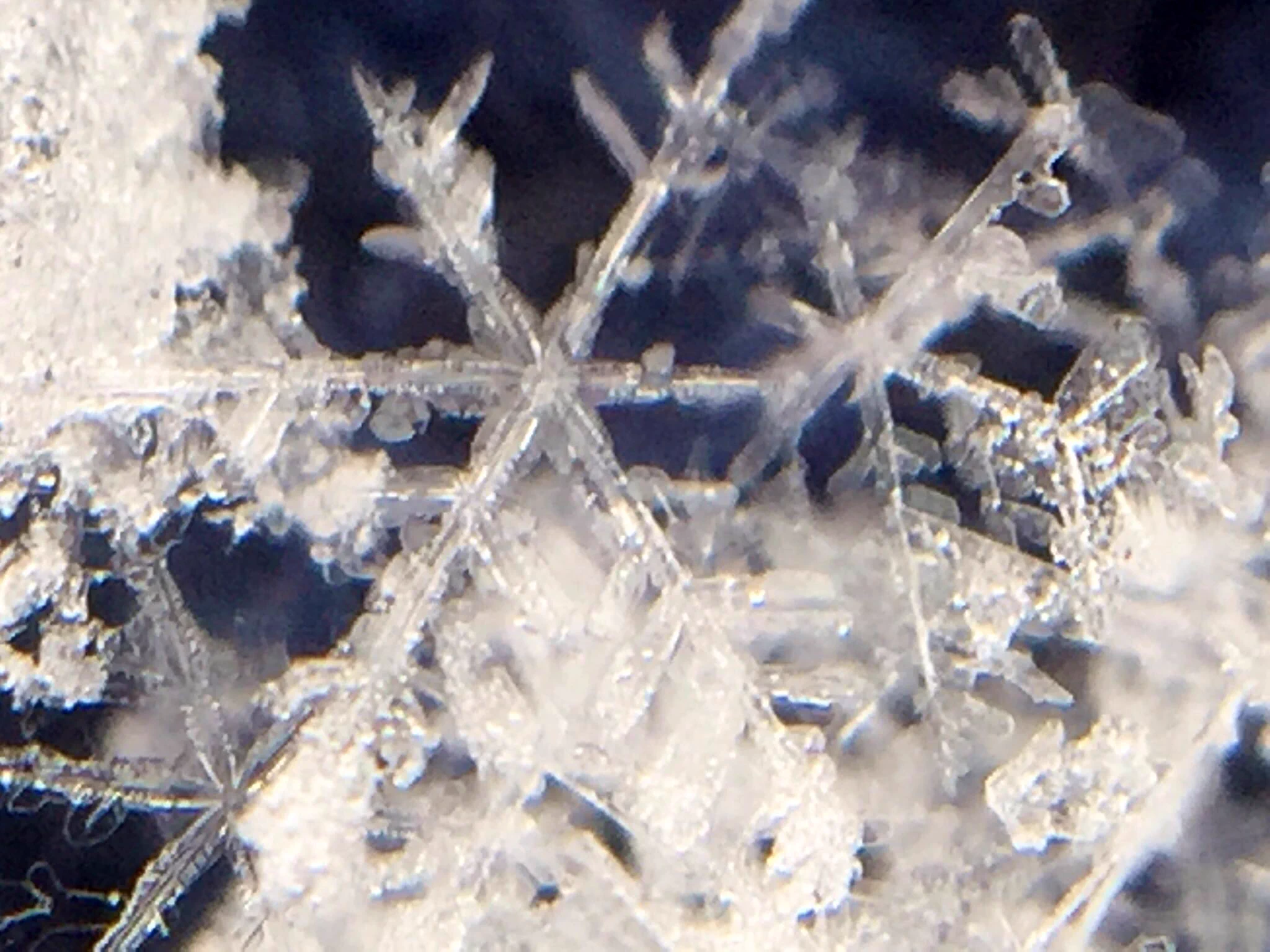雪の結晶の撮り方！！100均に売ってるアレを使うだけで気軽に&綺麗に！！