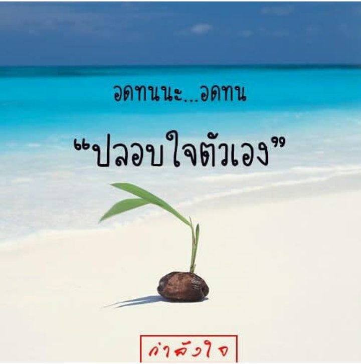 PSurakrai's tweet photo. https://t.co/BfVvMTIAdQ