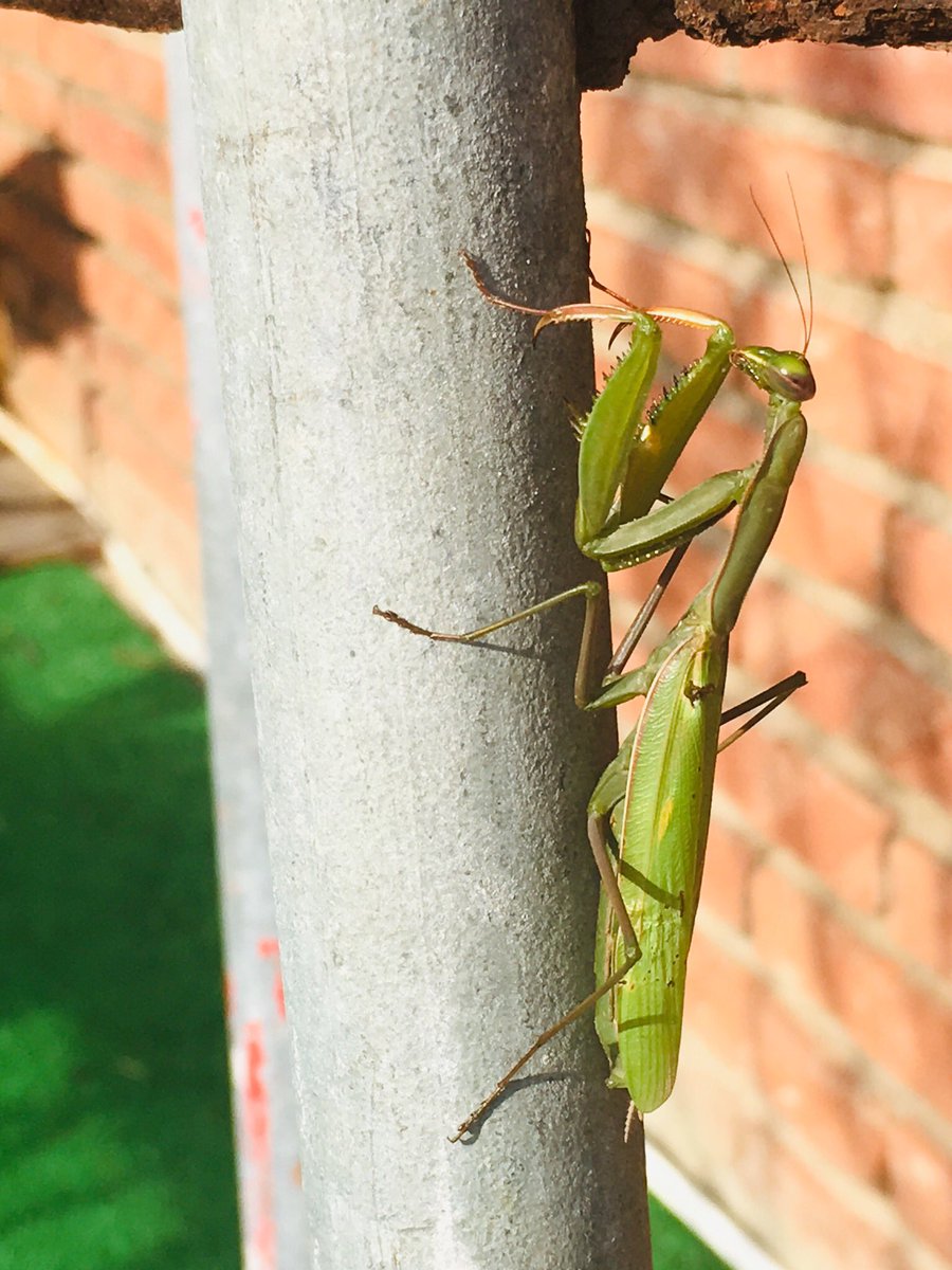¡Feliz sábado!
Hoy tenemos nueva compañía!!
#Natura