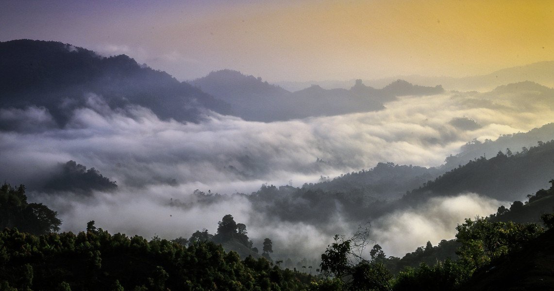 31+ Pemandangan Flora Fauna - Pemandangan Indah Sekali