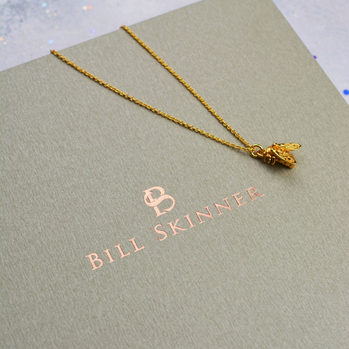 BillSkinnerUK photo