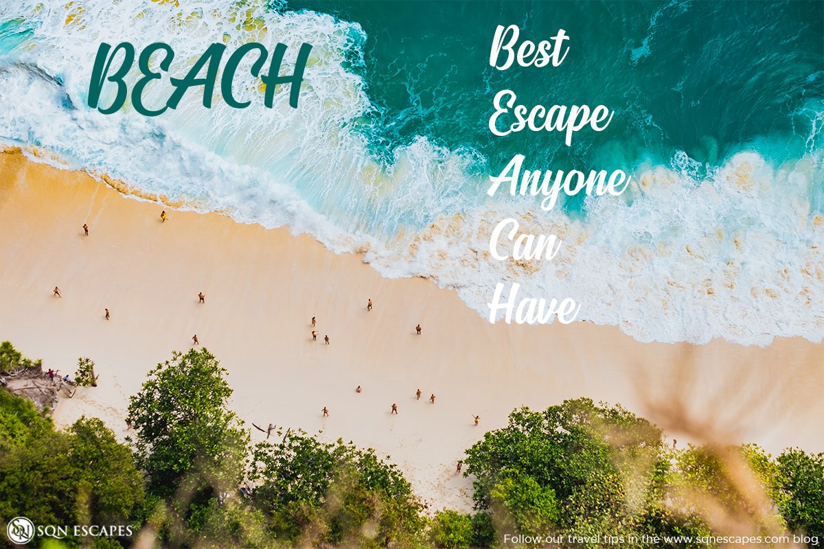 SqnEscapes's tweet photo. Did you already book your beach escape? 

#SQNExperience #Beach #LuxuryResorts #LuxuryTravel #BeachEscape #FamilyVacation https://t.co/0u4HoPIR5w