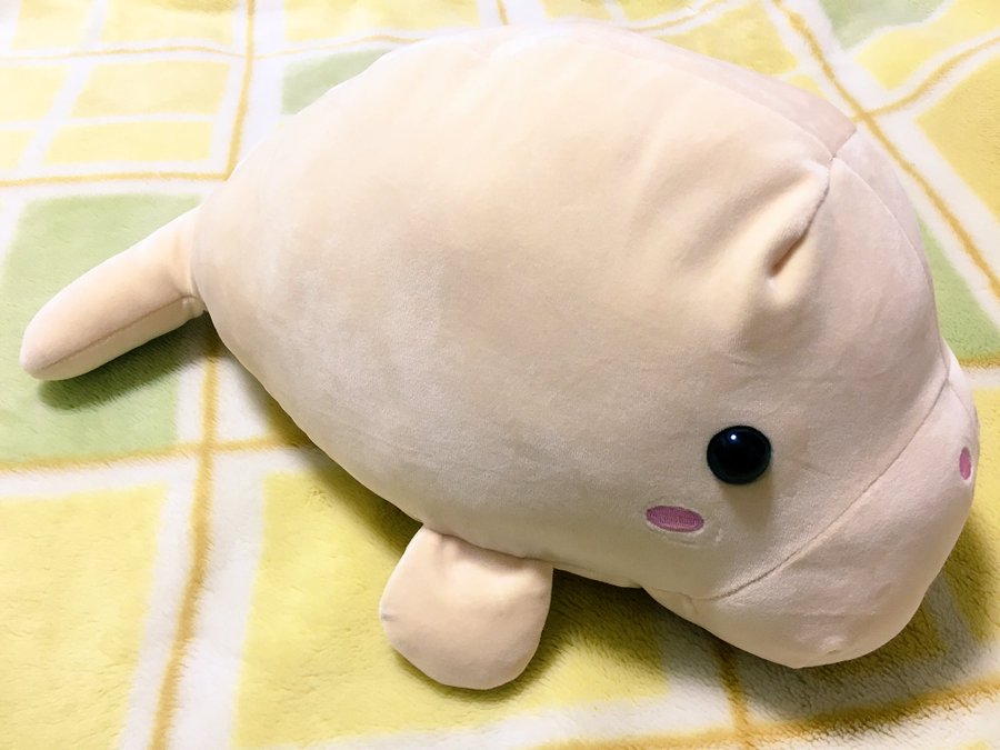 ジュゴンを見るなら鳥羽水族館 セレナとカメ吉の物語とは ちりっく