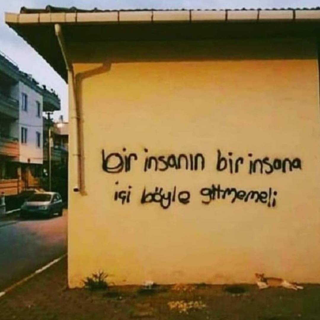 Ah şu duvar yazıları! Sadece insanlarla ilgili değil bu iç gidişi, bütün canlılarla hatta nesnelerle hatta hatta kavramlarla ilgili! İç gidişi önemli, iç gidişi büyük olay🕺🏿