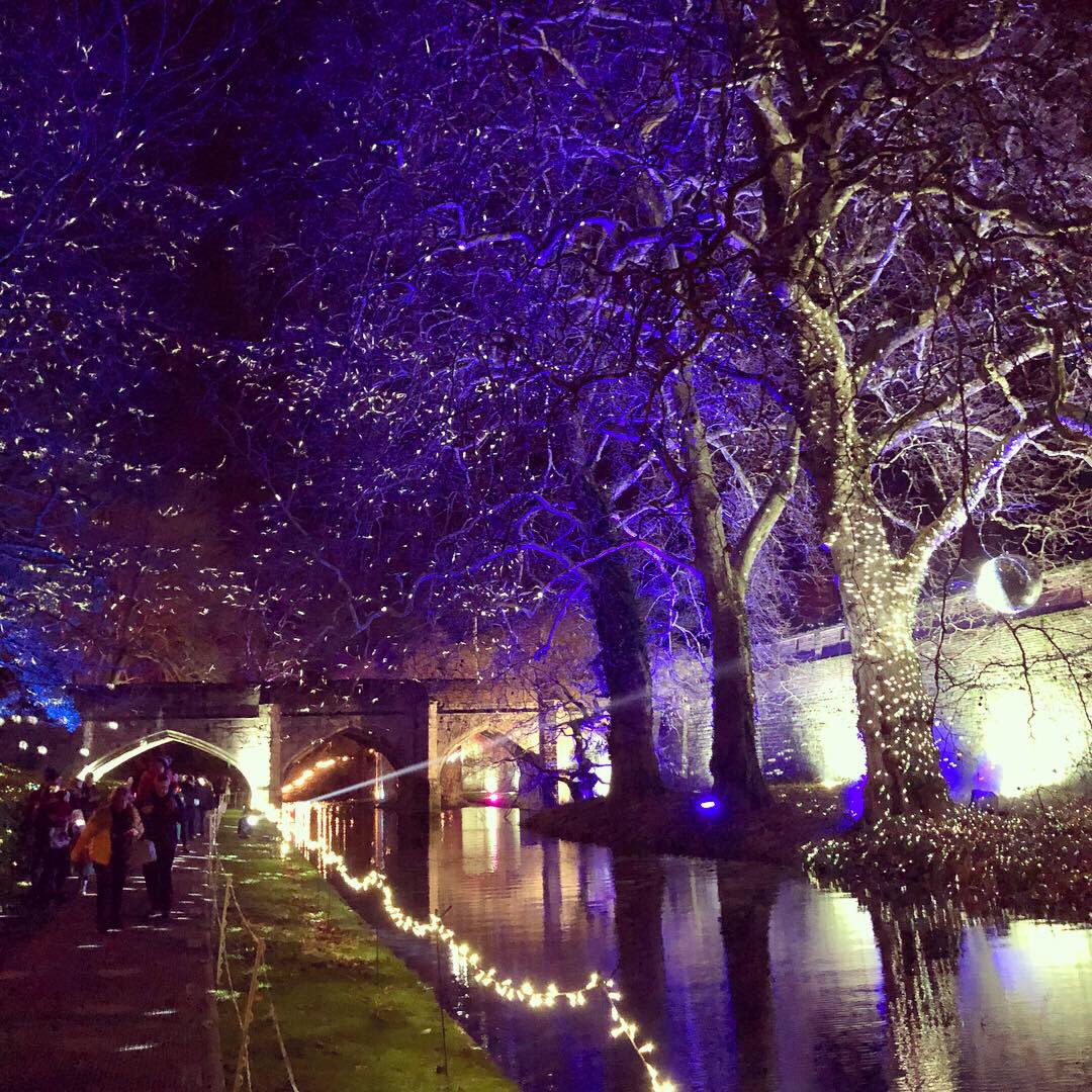 TheColorProject's tweet image. Our #EnchantedEltham installation this year for @EnglishHeritage @ElthamPalace - come down this month for a spectacular and enchanting stroll