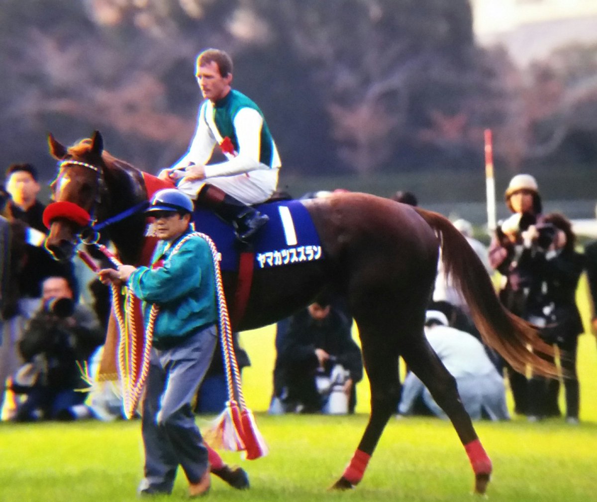 懐かしい写真集 99年阪神3歳牝馬S ヤマカツスズラン 新馬戦、ききょうS
