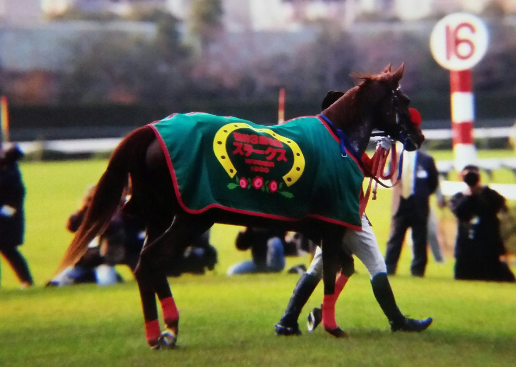 かずpart② 🐎😸 on X: 