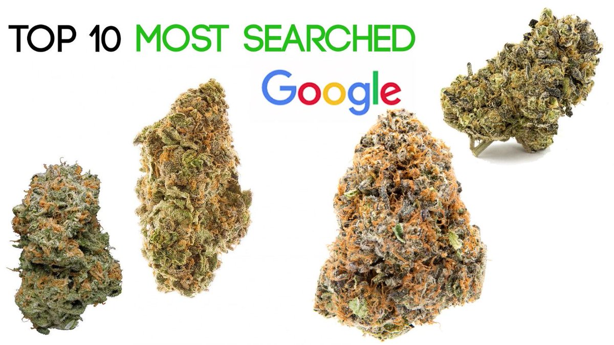 Top 10 Most Popular Cannabis Strains In 2018 

10. Headband 
9. Green Crack 
8. Trainwreck 
7. Pineapple Express 
6. Northern Lights 
5. Gelato 
4. Skywalker OG 
3. Blue Dream 
2. Girl Scout Cookies
1. Gorilla Glue
bit.ly/2B0REAH