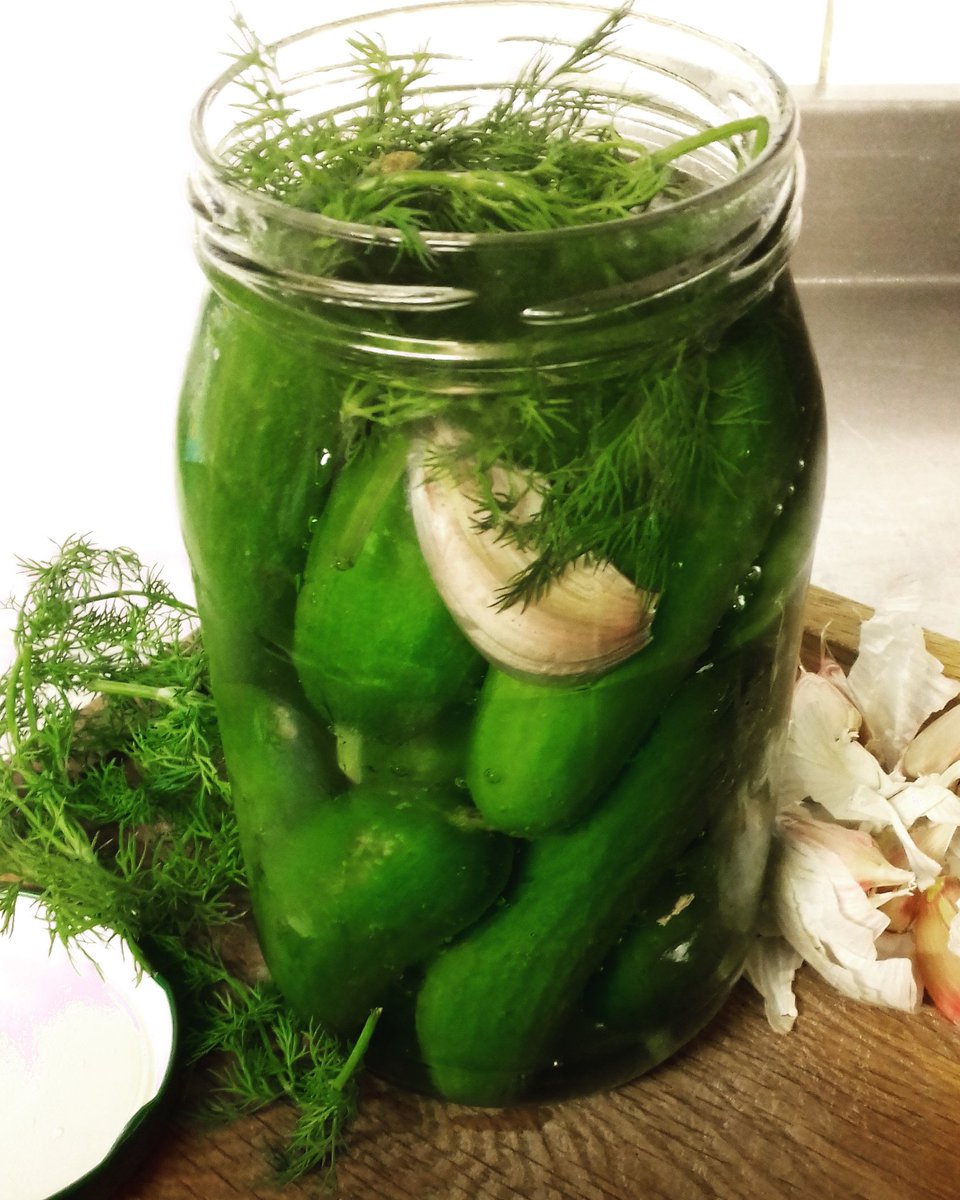 pogoda80's tweet photo. Preparing soured cucumbers for soup for next week 😀😀😀 #soured #cucumbers #soup #dill #garlic #horseradish #recipes @cooktoknow #foodbloggers https://t.co/G3lVpAXsek