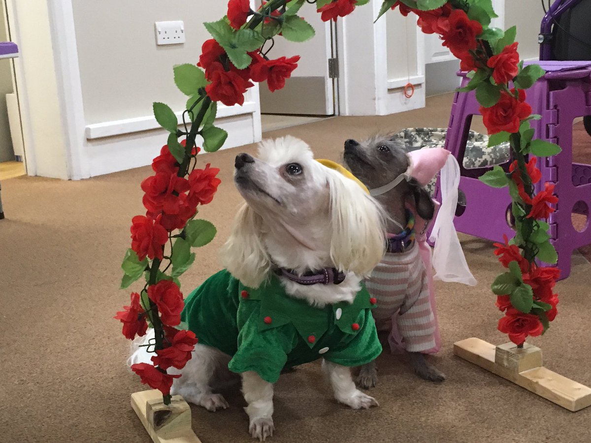 Foxbridge House tweet media