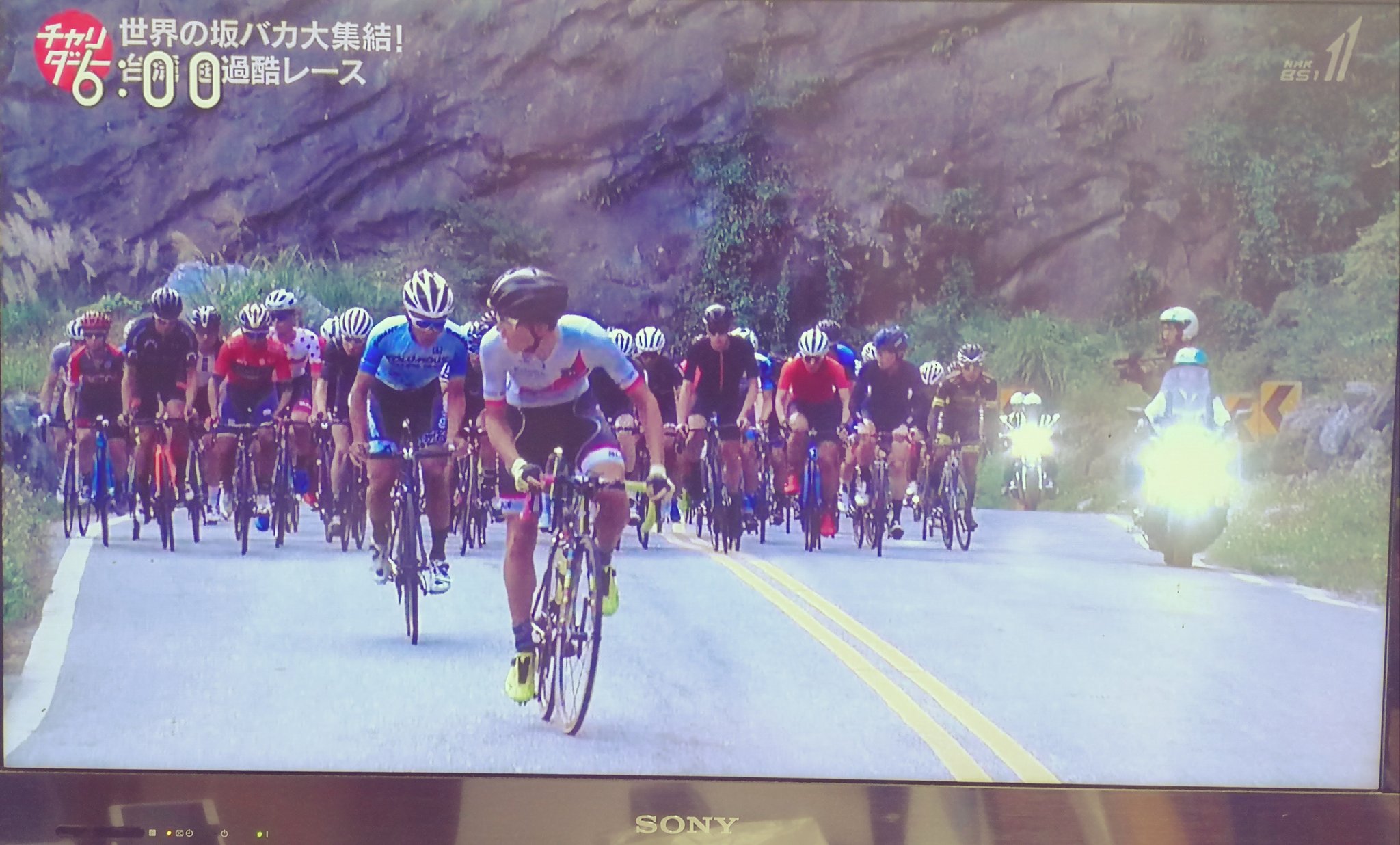 bs1スペシャル 激走 自転車山岳王レース 台湾 3000mの頂を駆け上がれ