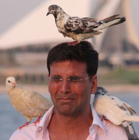 sharibhashmi's tweet photo. Ek aur... #jusrforfun
#Pakshirajan without the VFX 😀😀 #2Point0 https://t.co/MB3veX3AhL