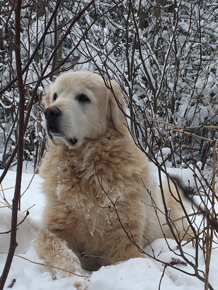 olive4594's tweet photo. When your not annoying me your pretty cute #heknowsstuff https://t.co/lY5JjKI0nZ