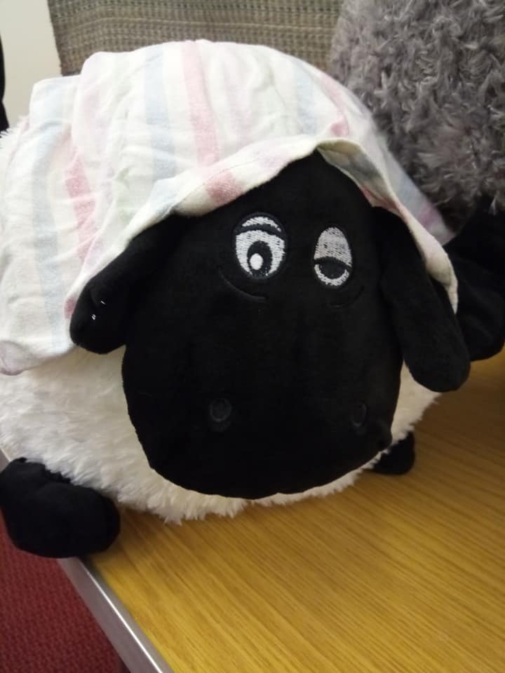 Live Nativity tweet media