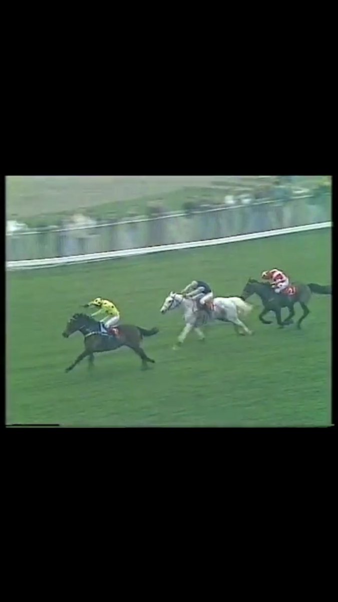 29 years ago. Managed to get the better of Dessie!! #TingleCreek Long Engagement