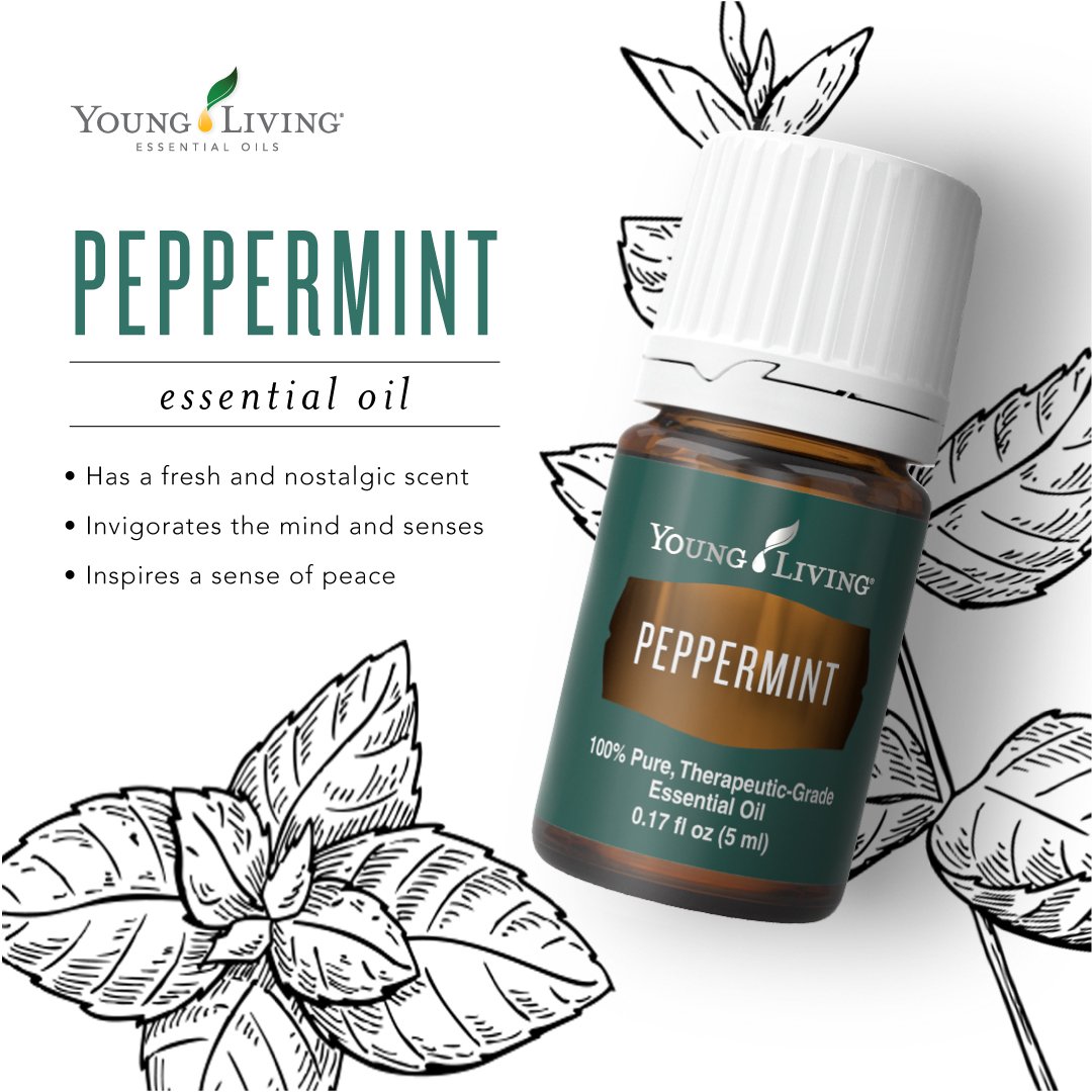 youngliving's tweet image. And visions of #Peppermint danced in their heads. 😉 #yleo