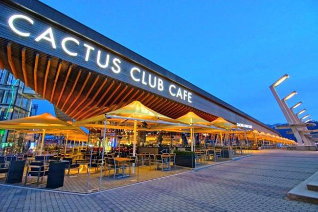 DailyHiveVan's tweet image. Win a $300 gift card to @cactusclubcafe in @DailyHiveVan’s #DH12Days ow.ly/Bit030mUEG9 RT to enter!