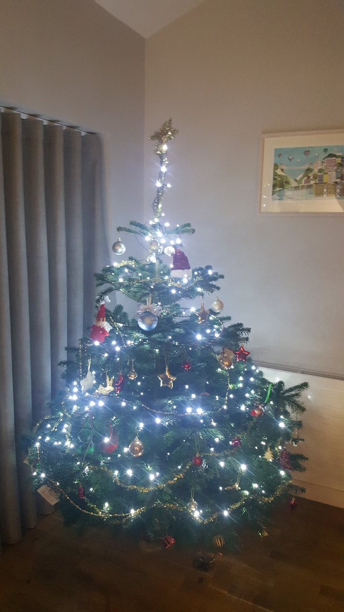 fussfreefoodie's tweet photo. Loving our #refutree from @AidBoxCommunity ...beautiful tree and helping those in need ❤🙌🙏#bristol #Christmas #MerryBristmas https://t.co/aKaJHjScxy