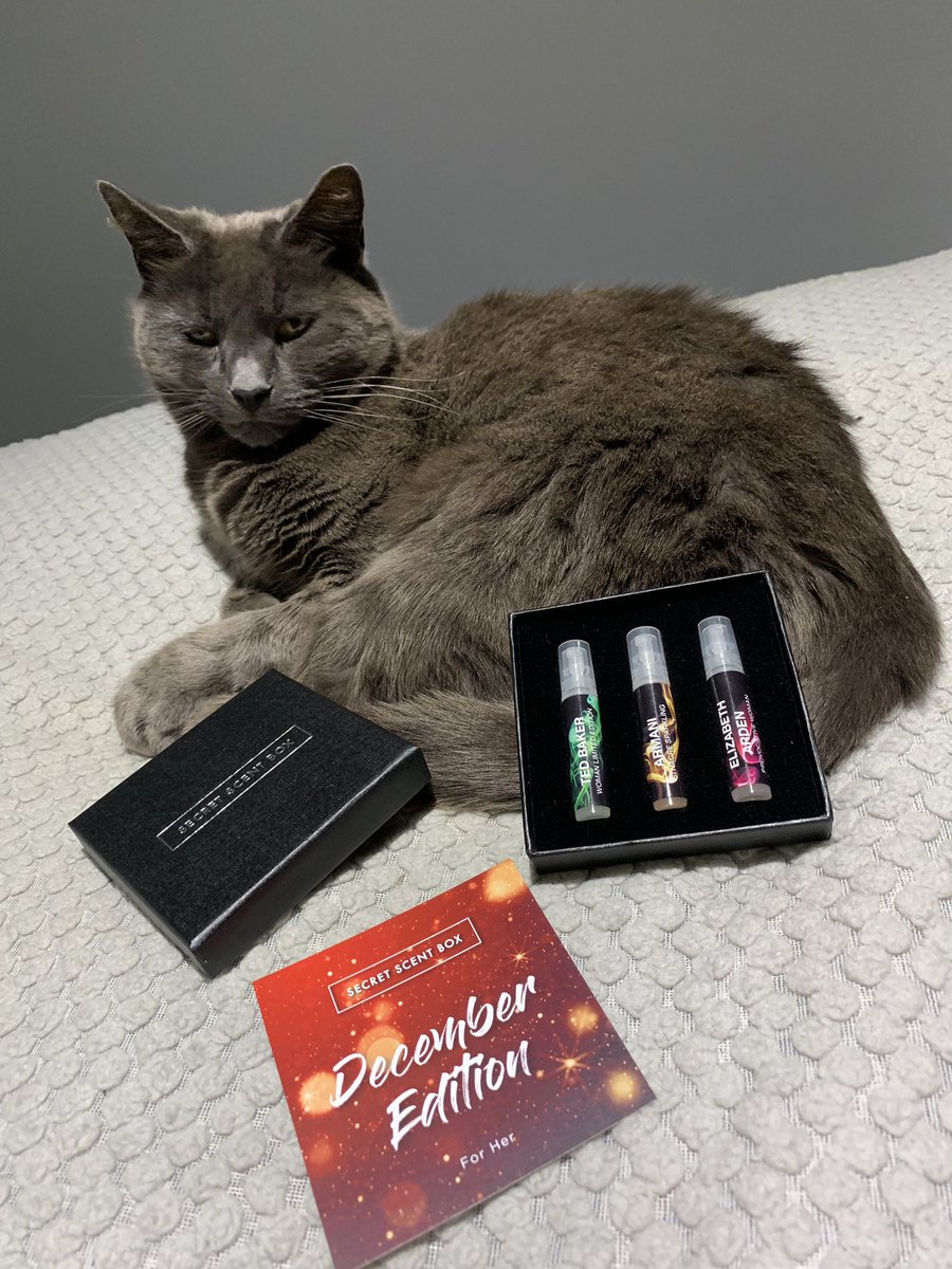 LozPearson97's tweet photo. 3 designer fragrances from £13 a month, cat is excluded from the offer😸 @SecretScentBox #grey #cat #fragrance #december #Christmas #gift #bargain https://t.co/gA4wTsieR6