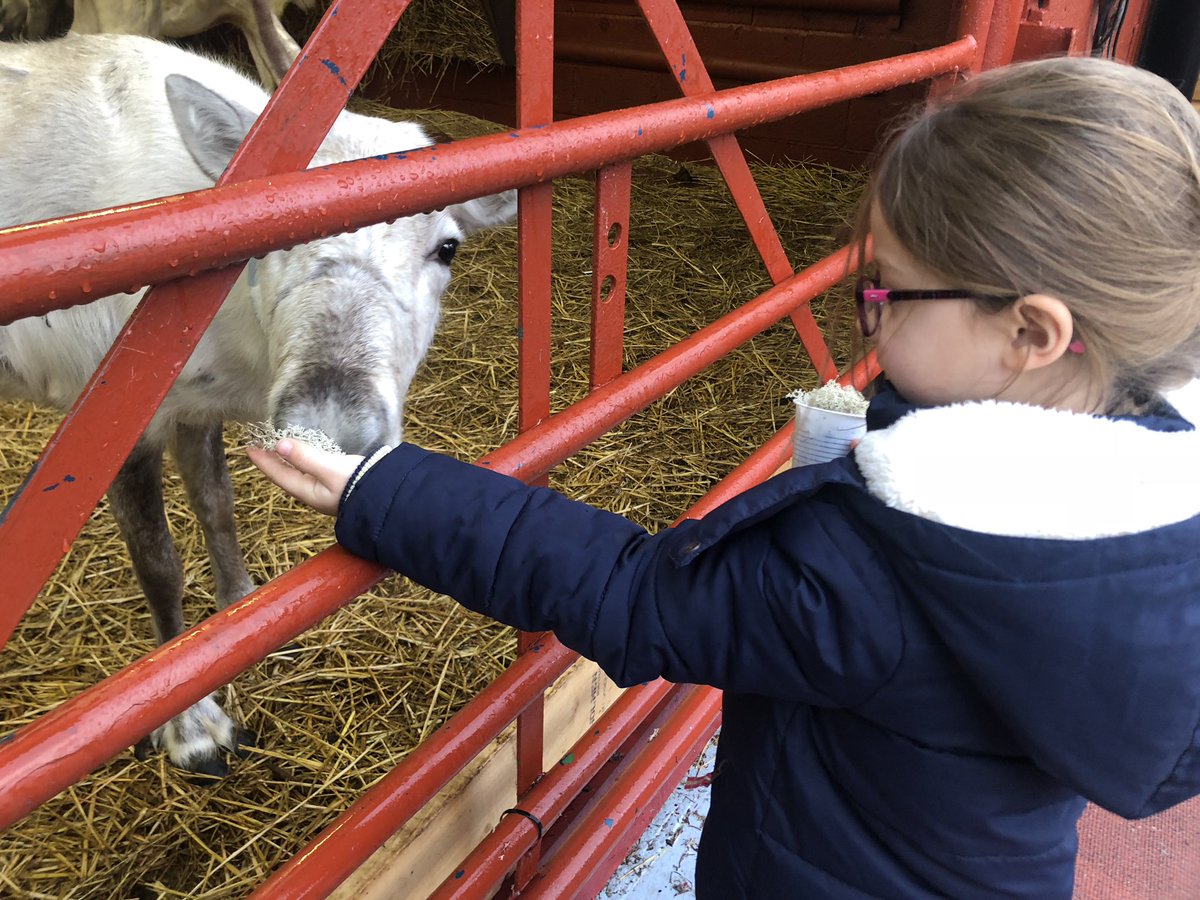 Olivia had fun with all of the reindeer today <a href="/vernonpark17/">Vernon Park Primary</a>