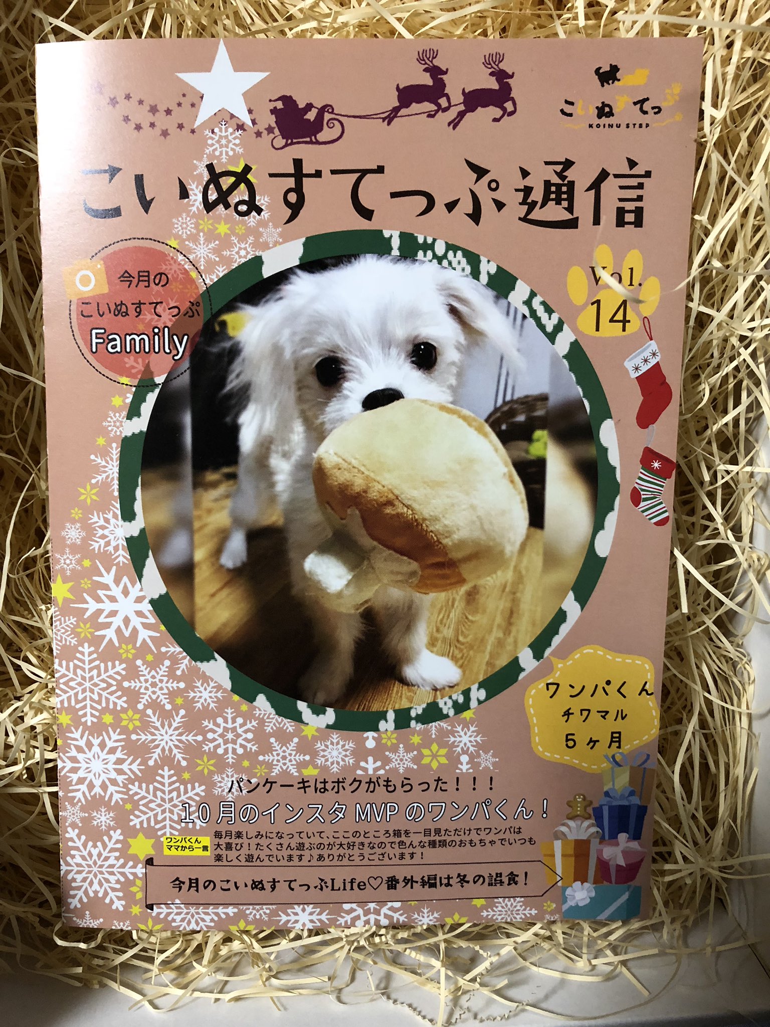 Miyako Lovebites めちゃくちゃ私事ですが 実は犬 を夏から飼い始めてまして 毎月届く子犬用のチャレンジ的なやつがあるんだけど インスタにいつもタグ付けして投稿してたらワンパの写真がmvpに選ばれて 飼い主より先に冊子の表1を飾ってしまいました