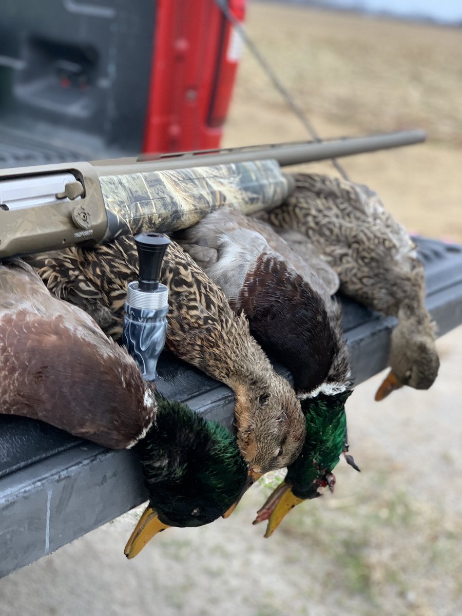 RoweAlec's tweet image. Good morning in the duck blind. #A5 @BeavrCreekCalls #KyDuckSeason