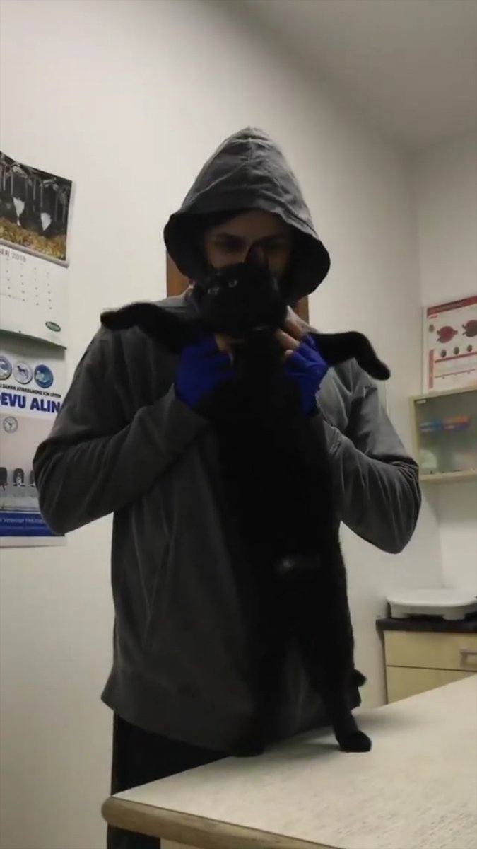 Senin şu hayvan sevgini napıcaz😻😻Birtaneeemm.❤ <a href="/EkinMertDaymaz/">Ekin Mert Daymaz</a>