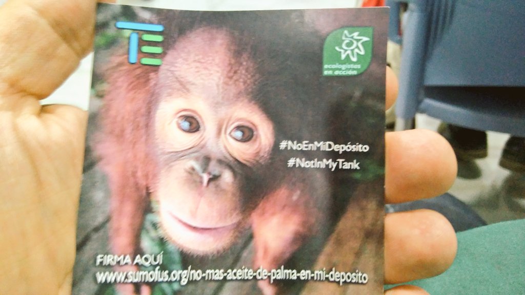 CactusTeatro's tweet photo. En breve en las calles reforzando la campaña #NoEnMiDepósito
¿Sabes que compartimos el 97% de nuestros genes con l@S Orangutanes? ¿Sabes que su nombre significa “El hombre de la selva?
#20AsambleaEcologistas https://t.co/G6IRrkebgn