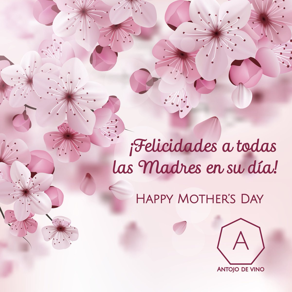 Que sus copas hoy estén rebosantes de amor, sabiduría, paciencia y luz para criar y guiar a sus hijos y familias! Hoy brindamos por ustedes MAMÁS! #FelizDíaDeLasMadres #Panama #HapppyMothersDay #WineLoverMom #AntojoDeVino