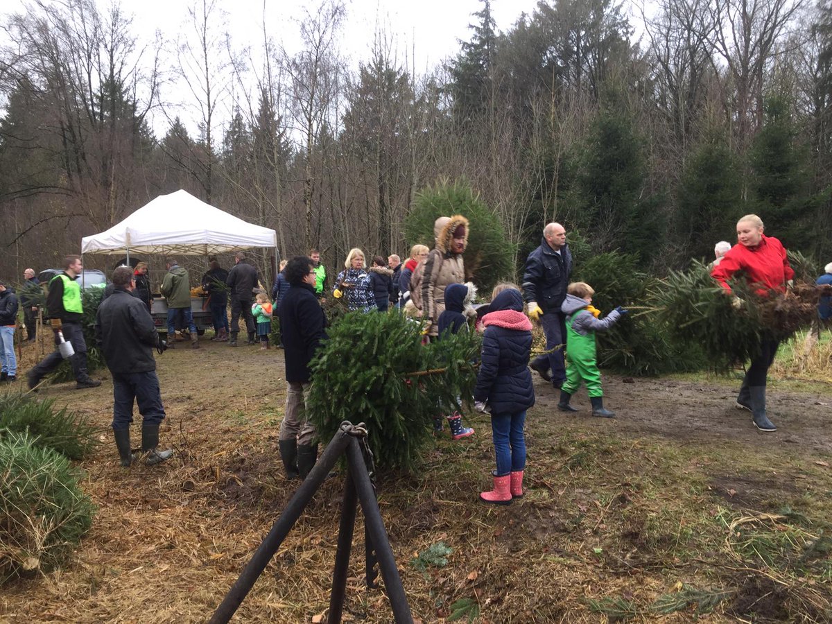 Harco Bergman tweet media