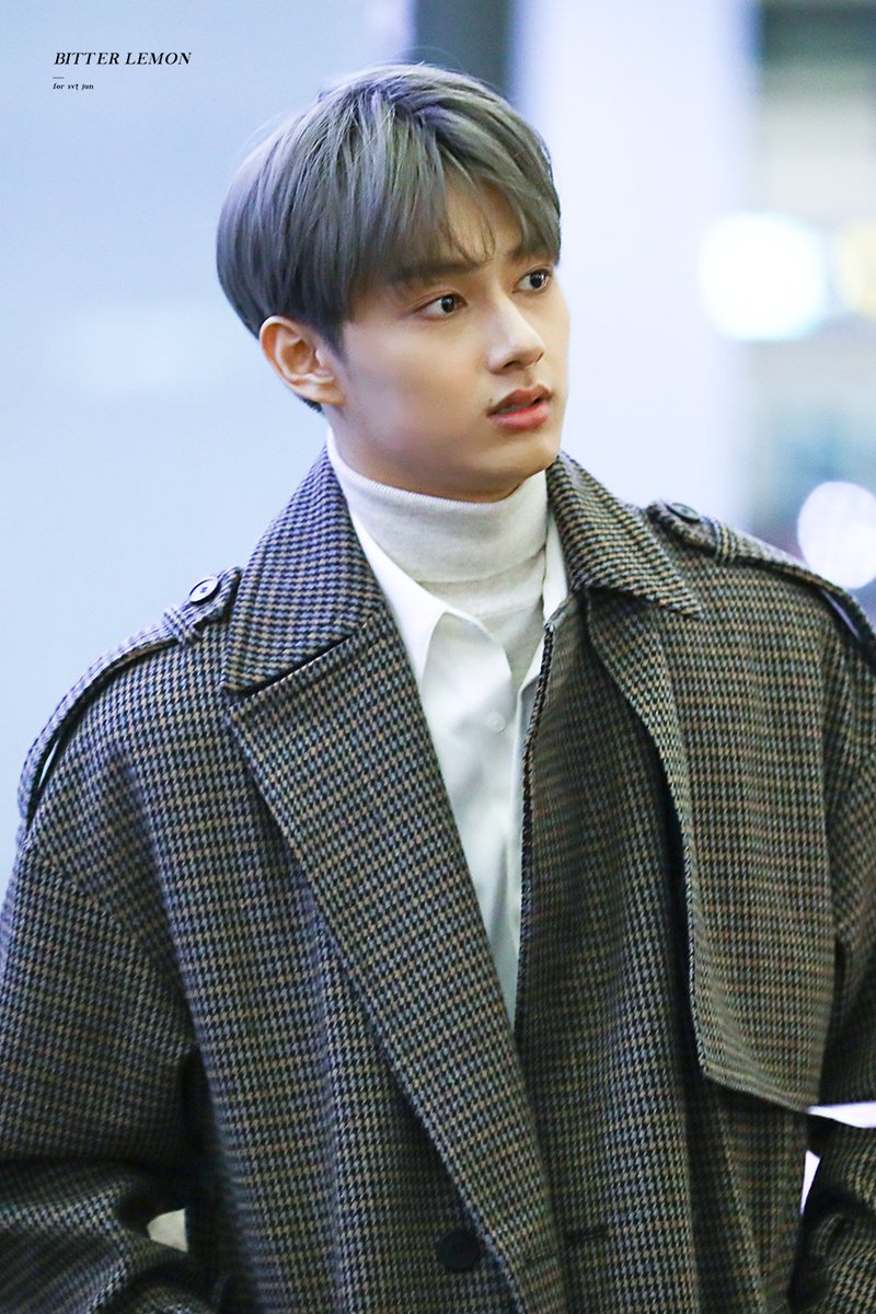 Hoericane Odetoyou On Twitter Wen Junhui Has Silver Hair