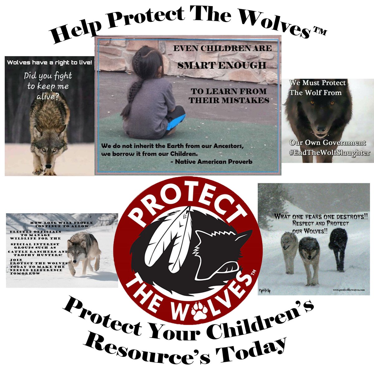 protectthewolve's tweet image. @LeoDiCaprio What do we have to do to get you to help our Proposed &quot;Sacred Resource Protection Zone&quot; even if only in name and retweeting? #protectthewolves #srpz #sacredresourceprotectionzone