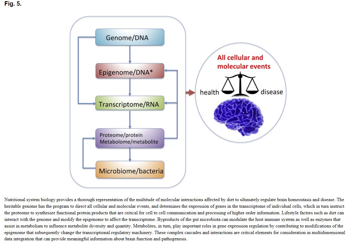 npure3's tweet photo. The effects of #Omega3 may be saved in the epigenome as an #EpigeneticMemory by interplaying with metabolic signals.
"This could serve as an underlying mechanism for protecting the #brain during periods of hardship." https://t.co/RvwHGxy0Kn
#BDNF #SystemsBiology #Epigenetics https://t.co/Ij3StqY2K6