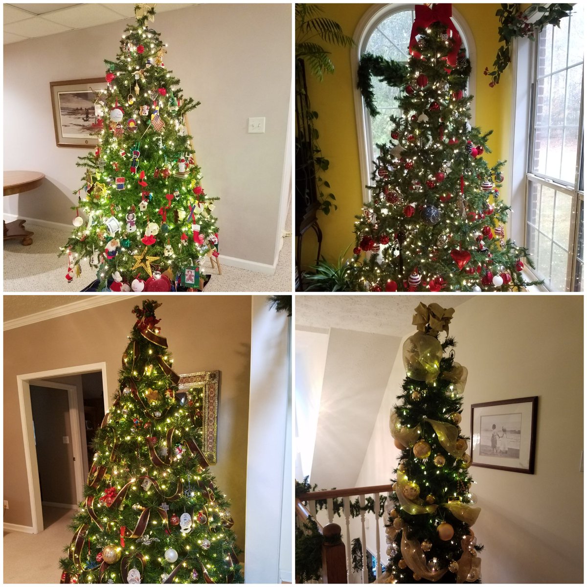 dericgarcia32's tweet photo. #4trees #MerryChristmas https://t.co/OJLKrBaPN9