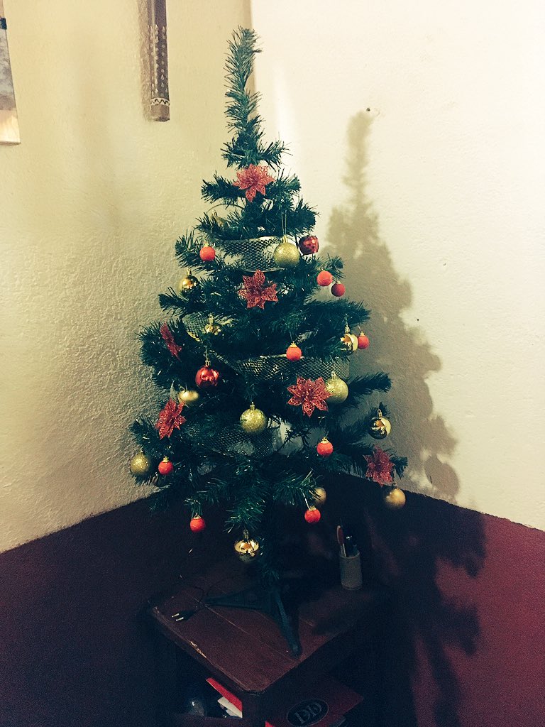 <a href="/portoneshopping/">Portones Shopping</a> #NavidadEnPortones  mi primer arbolito!! <a href="/portoneshopping/">Portones Shopping</a>