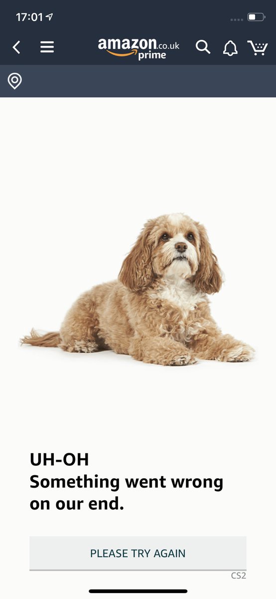 pam_desilva's tweet photo. Who knew these cute doggos were lurking on the @AmazonUK app 🐶 🐶 🐶 https://t.co/VLY81h0UlA