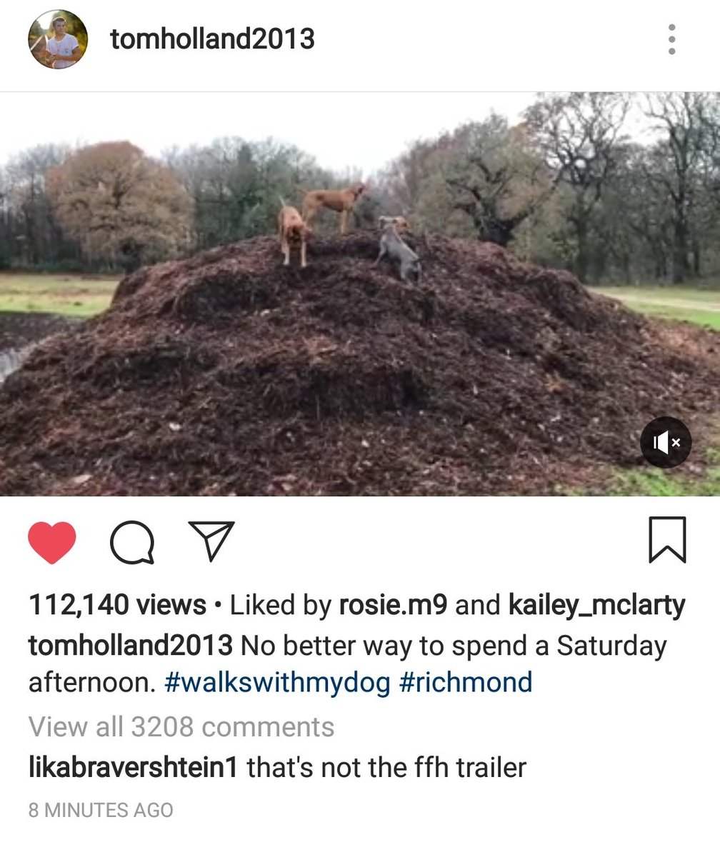 rainyohead's tweet image. 