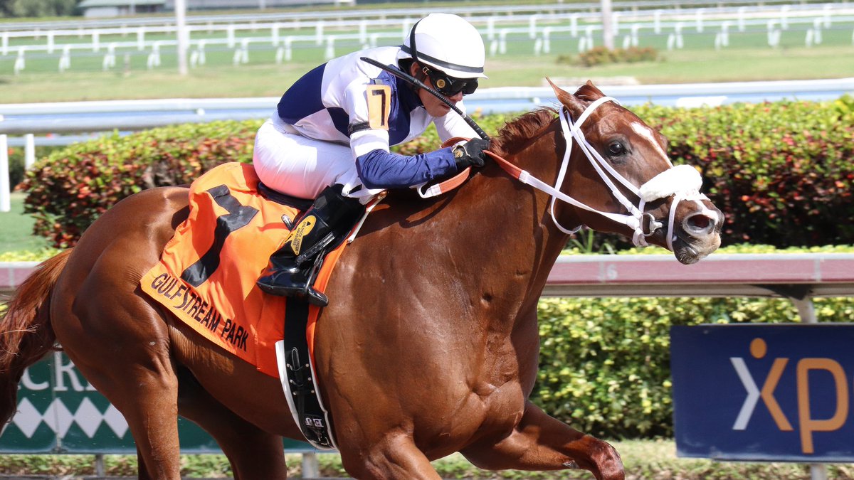 GulfstreamPark's tweet photo. .@VictorEBarboza's Zenden, @JaramilloJockey up, gets the job done in the Buffalo Man Stakes.
#GulfstreamPark #ChampionshipMeet https://t.co/P5w2VMgXbF