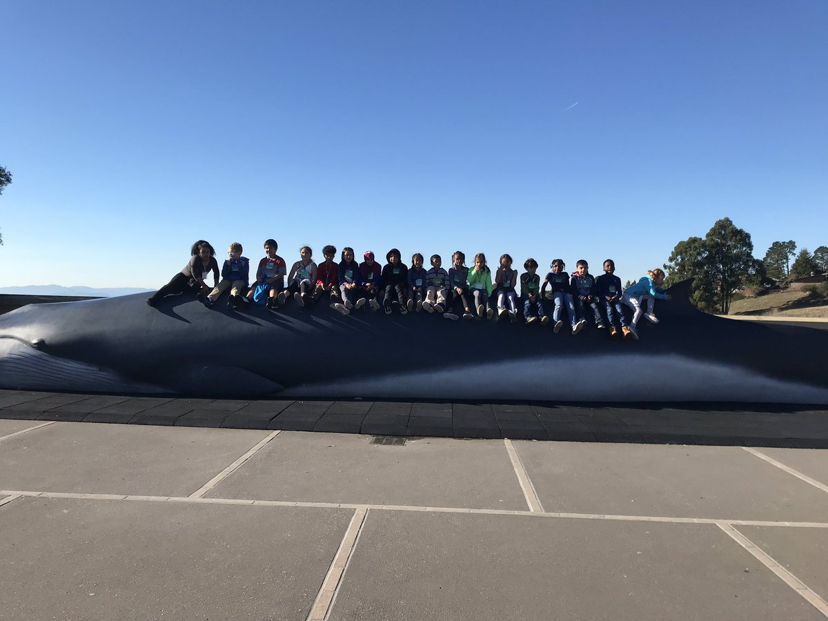 MsMaiden_RB's tweet photo. We had a blast exploring the Lawrence Hall of Science on Friday! @RB_Stars https://t.co/2QmXBXOvgh